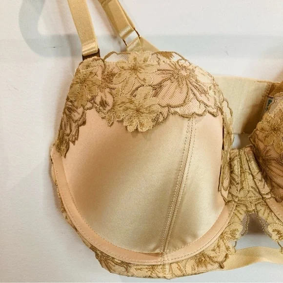 AERIE Sz 34DD Beige Lace Padded Underwire  Lace Trimmed Adjustable Strap Bra NEW - Picture 2 of 9